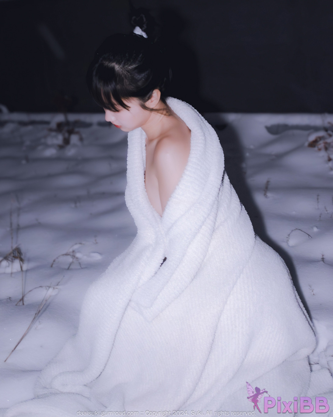 Suki Snowy Night PixiBB.COM 008