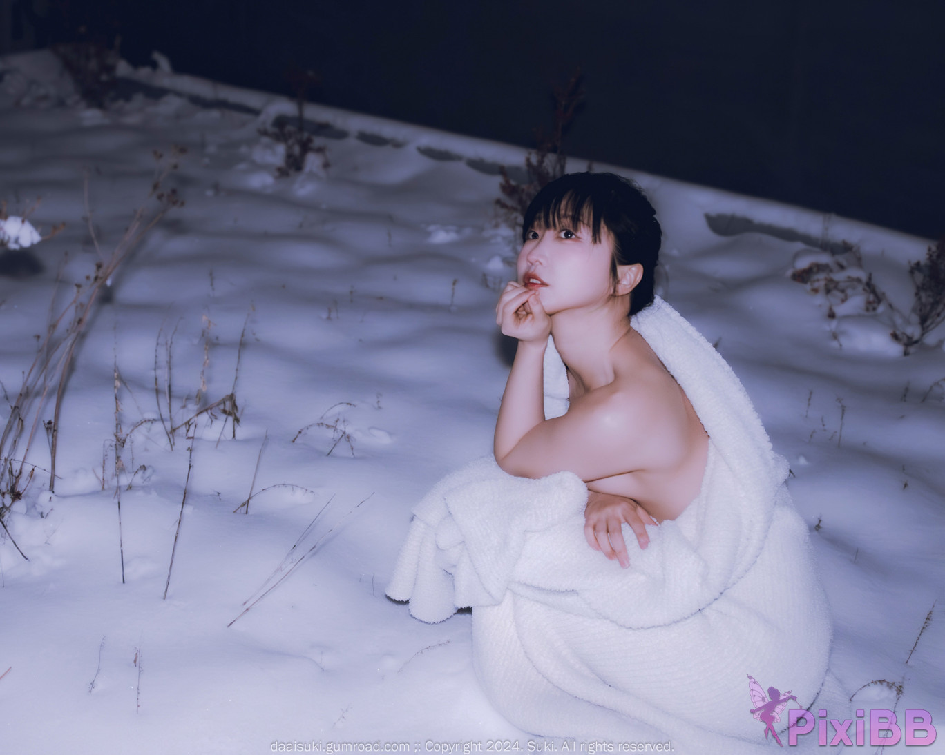 Suki Snowy Night PixiBB.COM 012