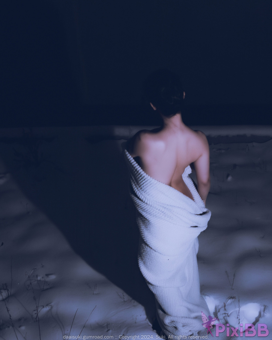 Suki Snowy Night PixiBB.COM 014
