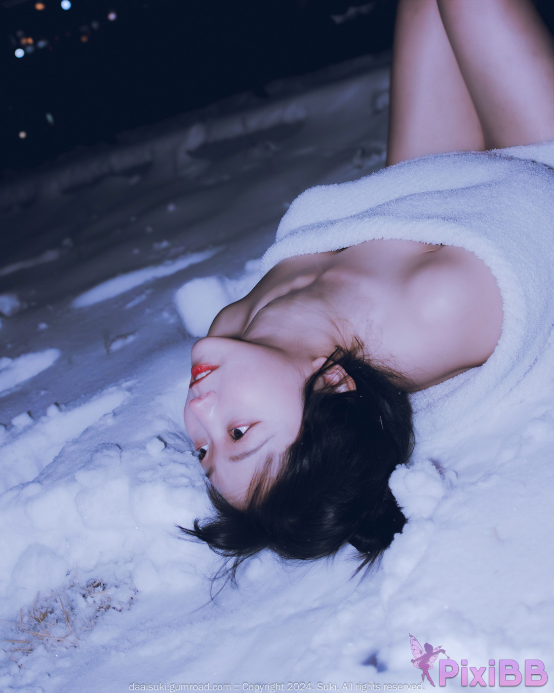 Suki Snowy Night PixiBB.COM 054