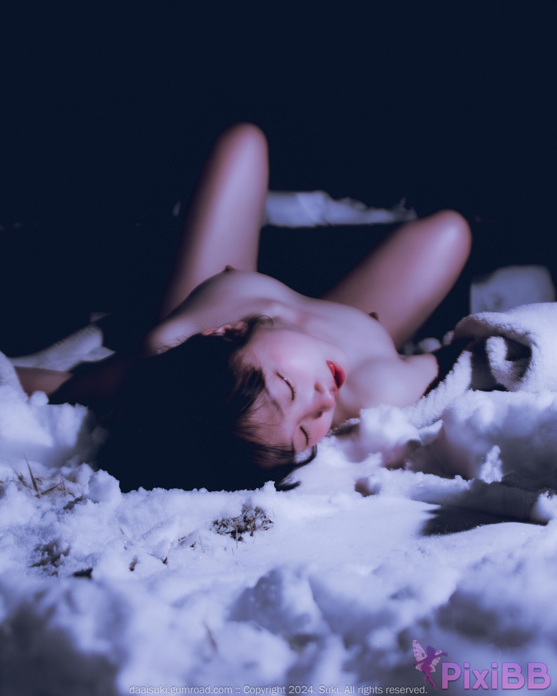 Suki Snowy Night PixiBB.COM 058