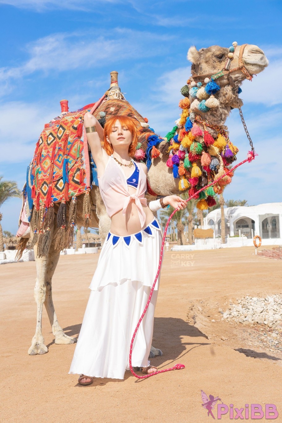 CarryKey Nami One Piece PixiBB.COM 025