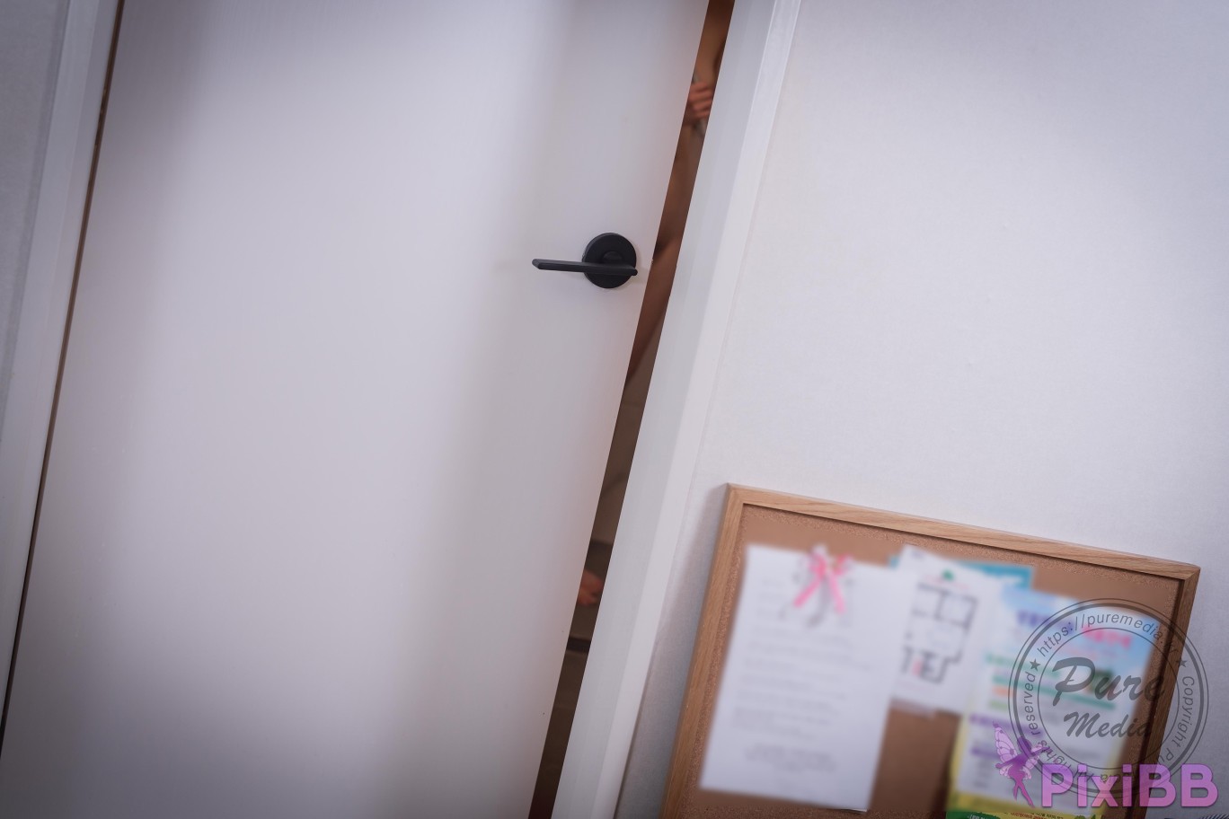 Pure Media Vol.275 Hina Raped My Rude Little Sister PixiBB.COM 088